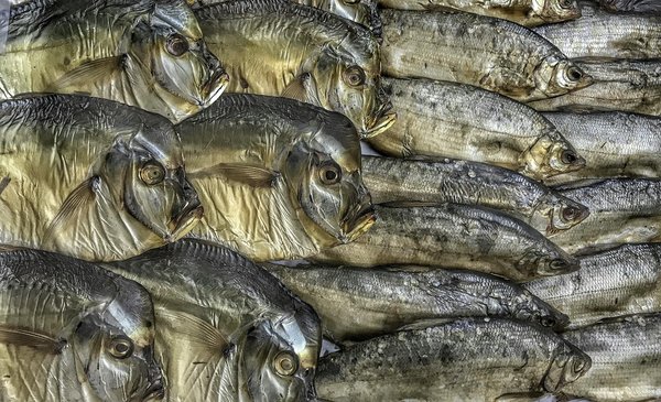 Démystification des Protéines : Vérités Cachées pour une Perte de Poids Efficace