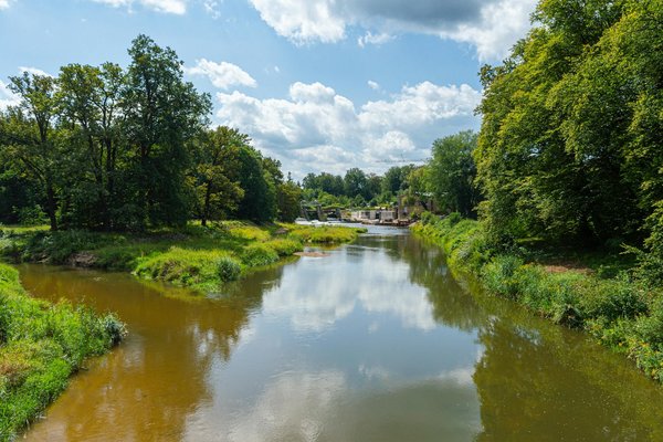 Avancées révolutionnaires et évolutions modernes dans l'étude de la fibromyalgie