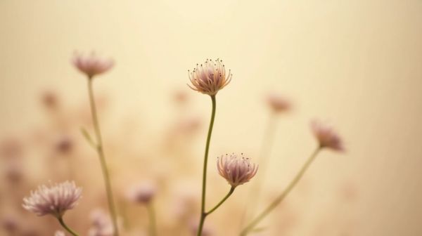 Les avantages des fleurs de cbd pour votre bien-être