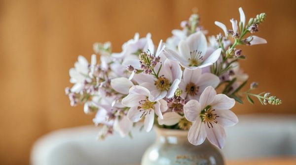Top 7 raisons d'adopter les fleurs de cbd pour mieux vivre